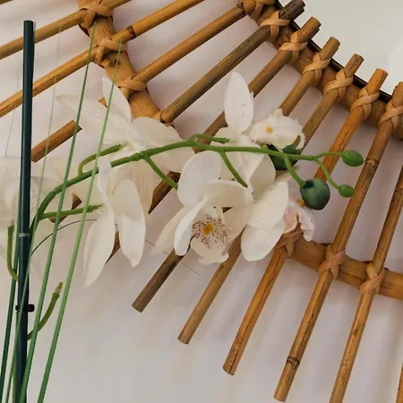 Falésia 25 Apartman