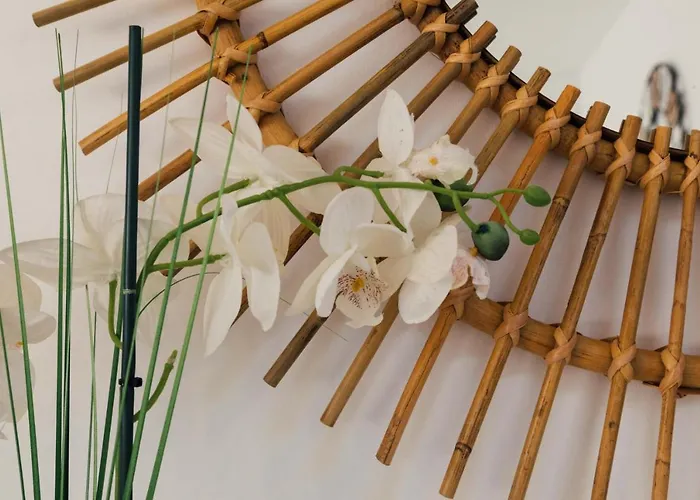 Falesia 25 아파트